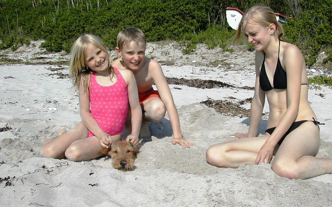Storbededagsferien 2006